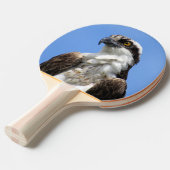 Osprey - Vogel - Ping Pong Paddle Tischtennis Schläger (Vorderseite)