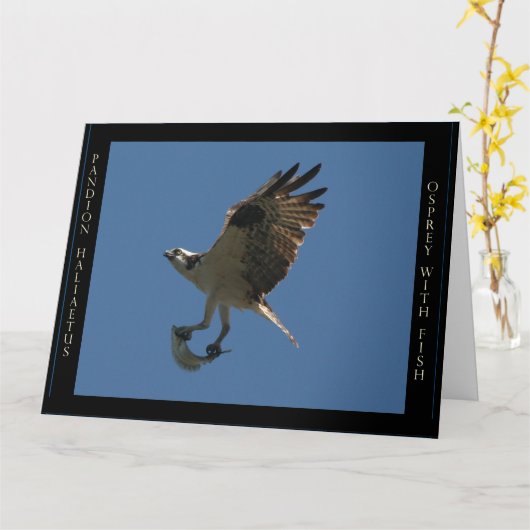 Osprey-Vogel-u. Fisch-Geburtstags-Gruß-Karte Karte (Gelbe Blume)