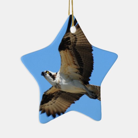 Osprey-Vogel-Verzierung Keramik Ornament (Rechts)
