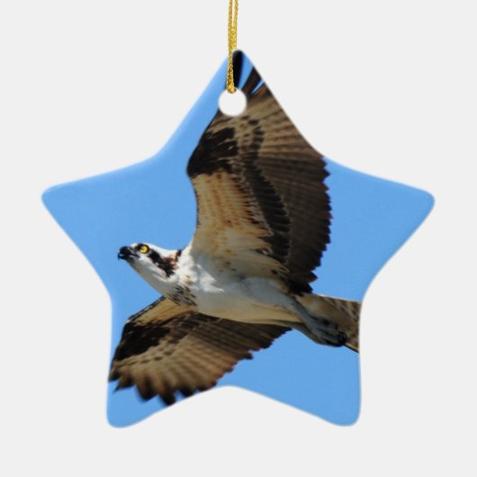 Osprey-Vogel-Verzierung Keramik Ornament (Vorne)