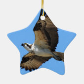 Osprey-Vogel-Verzierung Keramik Ornament (Hinten)