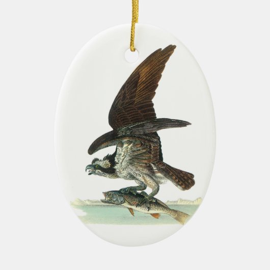 Osprey von Audubon Keramik Ornament (Vorne)