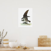 Osprey von Audubon Poster (Küche)