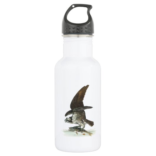 Osprey von Audubon Trinkflasche (Vorderseite)