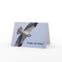 Osprey während des Fluges