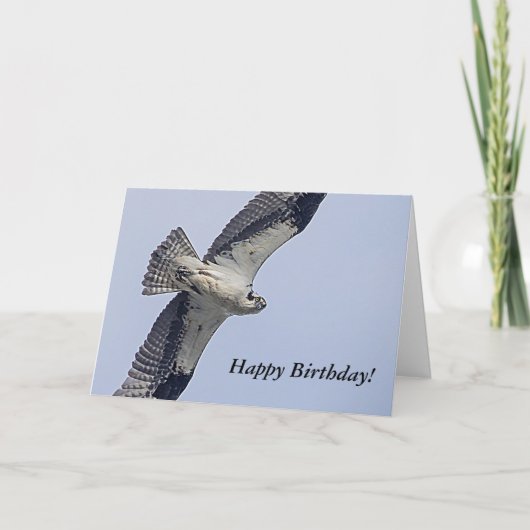 Osprey während des Fluges Karte (Vorderseite)