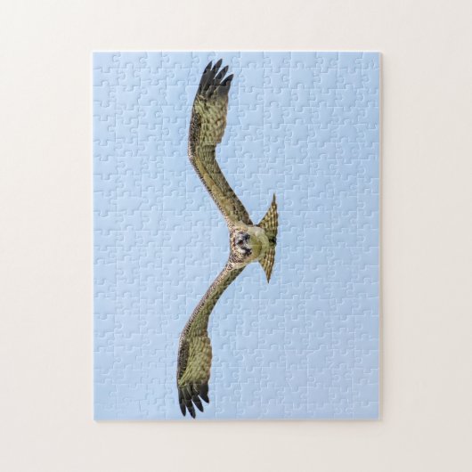 Osprey während des Fluges Puzzle (Vertikal)