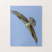 Osprey während des Fluges Puzzle (Vertikal)