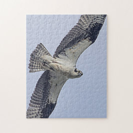 Osprey während des Fluges Puzzle
