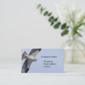 Osprey während des Fluges Visitenkarte (Stehend Vorderseite)