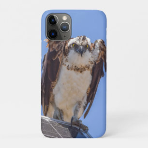 Osprey-Wildlife-Fotografie-iPhone-Hülle Vogel-Kuns Case-Mate iPhone Hülle