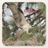 Osprey Wildlife Paper Untersetzer (Vorderseite)