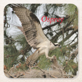Osprey Wildlife Paper Untersetzer