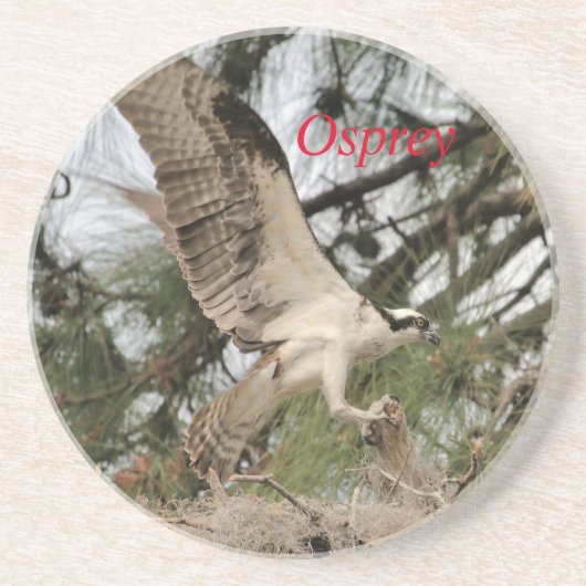 Osprey Wildlife Untersetzer (Vorne)