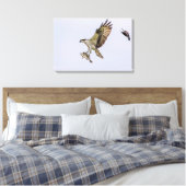 Osprey wird von einem roten Vogelgeflügel jagt Leinwanddruck (Insitu (Schlafzimmer))