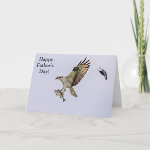 Osprey wird von einem roten Vogelgezwitscher verfo Karte