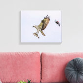 Osprey wird von einem roten Vogelgezwitscher verfo Leinwanddruck (Insitu (Wohnzimmer))