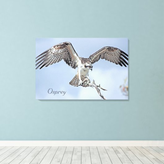 Osprey Wrapped Canvas Leinwanddruck (Insitu (Holzboden))