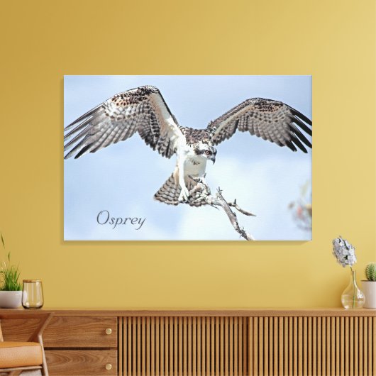 Osprey Wrapped Canvas Leinwanddruck (Insitu (Wohnzimmer))