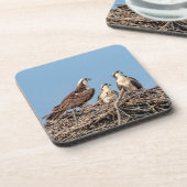 Ospreymamma mit ihren Kindern Getränkeuntersetzer (Linke Seite)