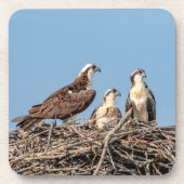 Ospreymamma mit ihren Kindern Getränkeuntersetzer (Vorderseite)