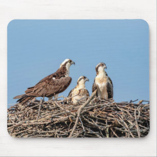 Ospreymamma mit ihren Kindern Mousepad