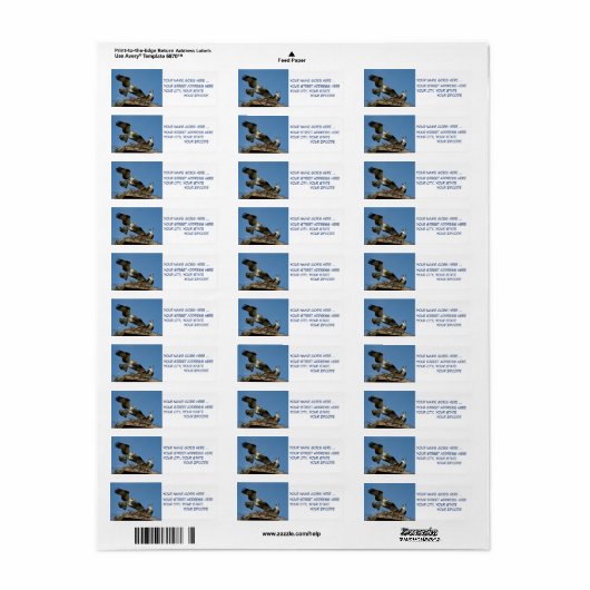 Ospreys Hawks Rücksendeadressen-Aufklebers (Vorne)