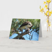 Ospreys Lunch Grußkarte Karte (Gelbe Blume)