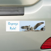 Ospreys Rule Autoaufkleber (Auf Auto)