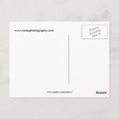 Ost-Afrikanischer Kranich Postkarte (Rückseite)