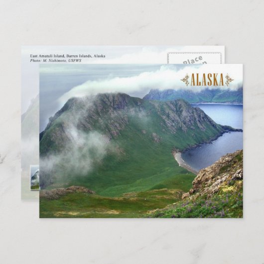 Ost-Amatuli-Insel, Barren-Inseln, Alaska Postkarte (Vorne/Hinten)