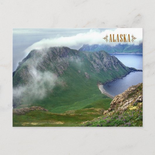Ost-Amatuli-Insel, Barren-Inseln, Alaska Postkarte (Vorderseite)