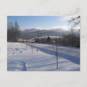Ost-Grün Postkarte
