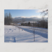 Ost-Grün Postkarte (Vorderseite)