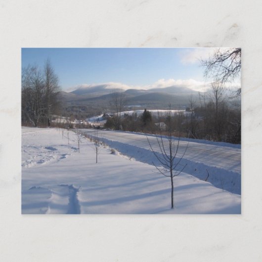 Ost-Grün Postkarte (Vorderseite)