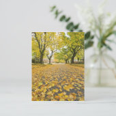 Ost im Herbst Straße und Baumblick Postkarte (Stehend Vorderseite)