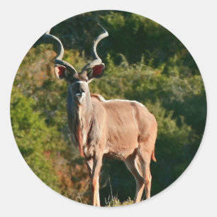 Ost-Kap-Kudu-Aufkleber Runder Aufkleber