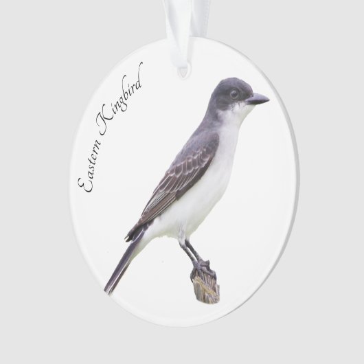 Ost-Kingbird Ornament (Vorderseite)