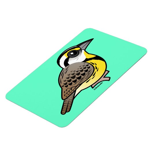 Ost-Meadowlark Magnet (Linke Seite)