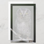 Ost-Schüssel, Megascops asio, Otus 2 Briefpapier (Vorne/Hinten)