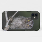 Ost-Schüssel, Megascops asio, Otus 2 Case-Mate iPhone Hülle (Rückseite (Horizontal))