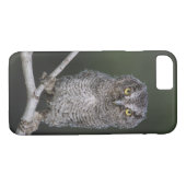 Ost-Schüssel, Megascops asio, Otus 2 Case-Mate iPhone Hülle (Rückseite (Horizontal))