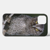 Ost-Schüssel, Megascops asio, Otus 2 Case-Mate iPhone Hülle (Rückseite (Horizontal))