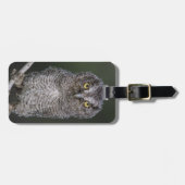 Ost-Schüssel, Megascops asio, Otus 2 Gepäckanhänger (Vorderseite horizontal)