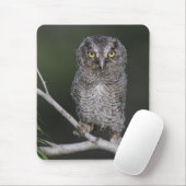 Ost-Schüssel, Megascops asio, Otus 2 Mousepad (Mit Mouse)