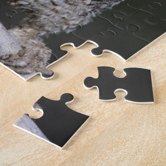 Ost-Schüssel, Megascops asio, Otus 2 Puzzle (Seite)