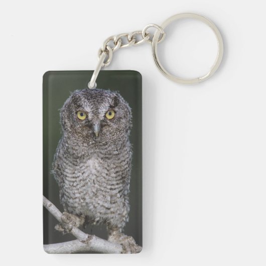 Ost-Schüssel, Megascops asio, Otus 2 Schlüsselanhänger (Rückseite)