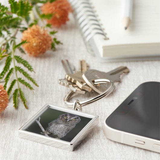 Ost-Schüssel, Megascops asio, Otus 2 Schlüsselanhänger (Seite)