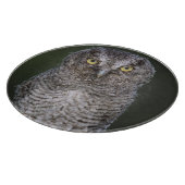 Ost-Schüssel, Megascops asio, Otus 2 Schneidebrett (Ecke)