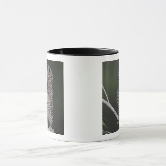 Ost-Schüssel, Megascops asio, Otus 2 Tasse (Zentrum)